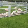 Sheep pen using sheep hurdles