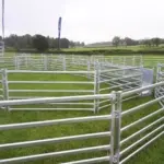 Sheep pen and sheep race with sheep hurdles