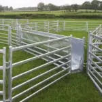 Sheep hurdles with v race