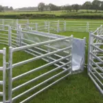 Sheep hurdles with v race