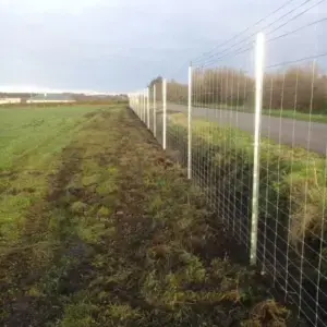 2.8m deer standard fence post - with deer netting
