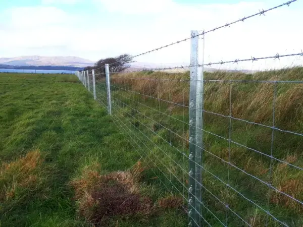 2m Beefy Clipex fence post for sheep