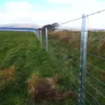 2m Beefy Clipex fence post for sheep with netting and barb wire