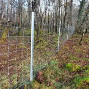Deer fencing 2.8 beefy post with 11 clips