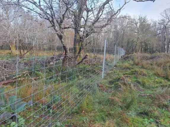 Clipex 2.8m deer standard fence post