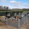 Calf pens using Sheep hurdles for configurable storage