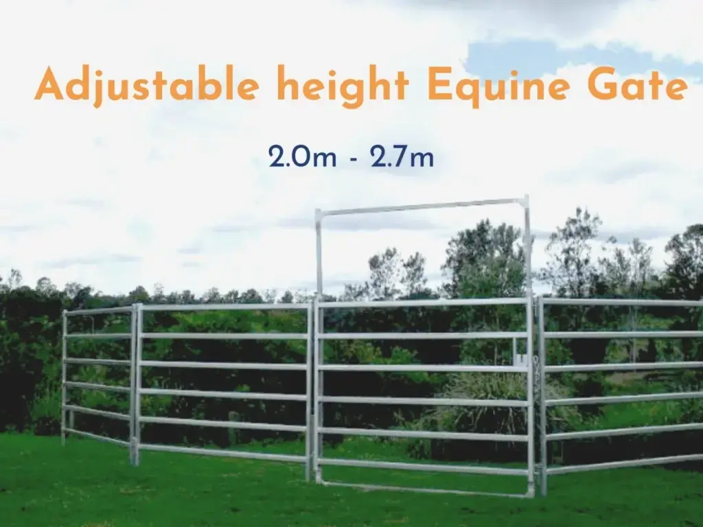 Equine gate and horse ring