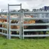 Mobile Cattle Yard with Clipex Crush - Studman gate panel