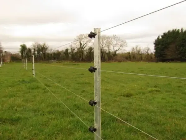 4 strand electric fence - 1.5 m eco clipex fence post