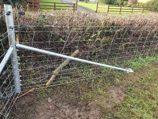 Double propped strainer tube with sheep wire at angle greater than 90