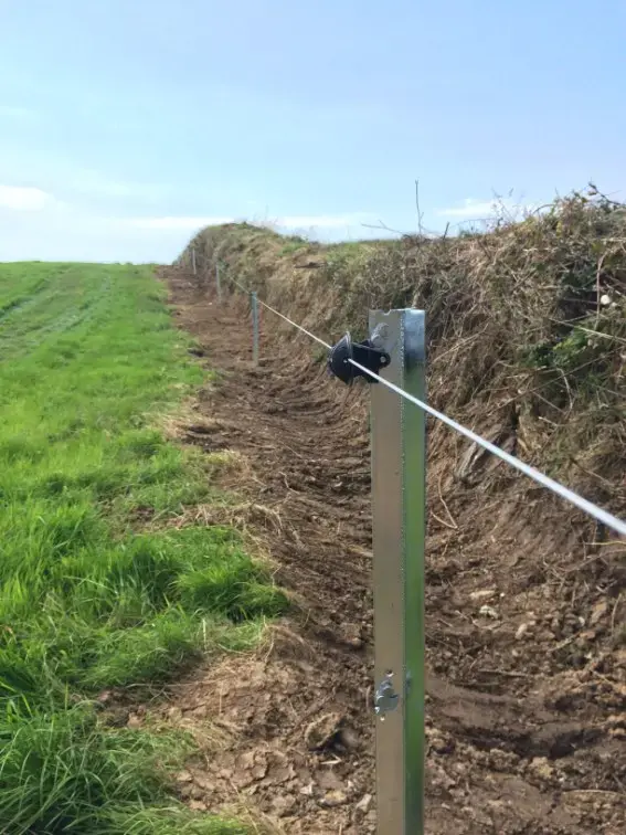 Single strand electric fence 1.5m eco 2 clip