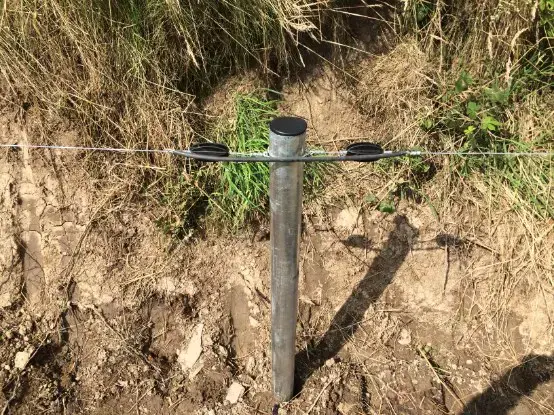 Strainer tube with single line electric fence