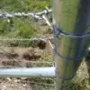 Strainer Tube - up close of sheep wire tie off