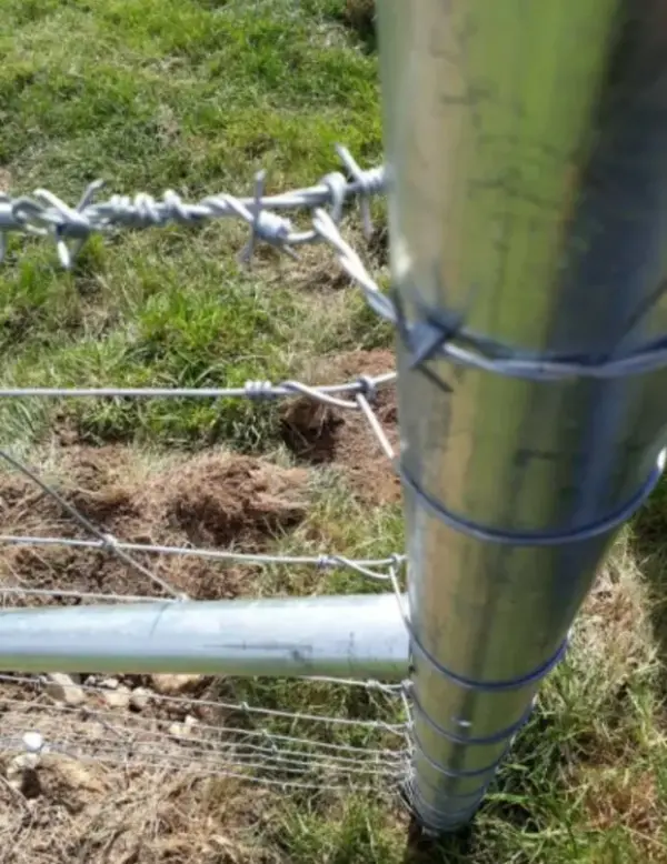 Strainer Tube - up close of sheep wire tie off