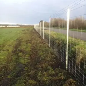 2.8m deer standard fence post - with deer netting