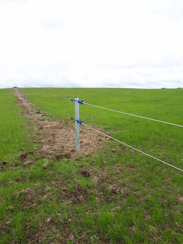 Bungee rope for electric fence gaps - example