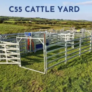 C55 Cattle Yard