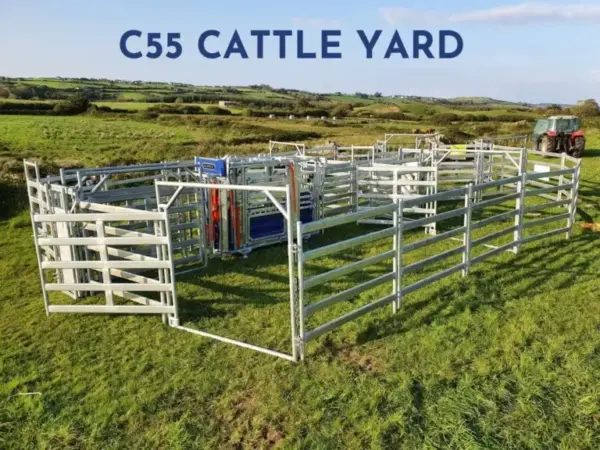 C55 Cattle Yard