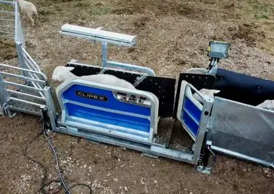 Eco Handler - 6 in 1 Auto Drafter Sheep Handler with sheep