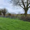 Clipex Horse fence posts in field with netting and top electric wire