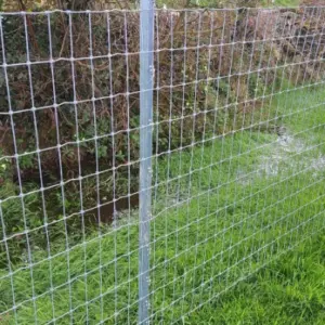 Close up of Clipex Horse fence posts in field with netting and top electric wire - horse fencing