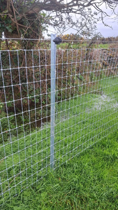 Close up of Clipex Horse fence posts in field with netting and top electric wire - horse fencing