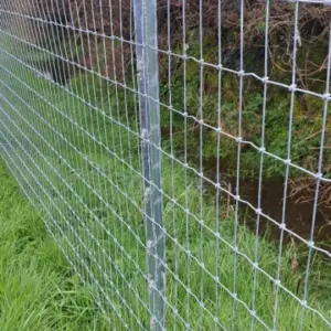 Close up of Clipex Horse fence posts in field with netting and top electric wire from other angle - Beefy post