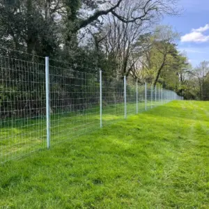 Deer Fencing with Clipex Fencing Posts - HD Galvanised Steel posts - 3m Standard & 3m Beefy posts