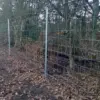 Clipex Deer Fencing border