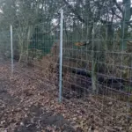 Clipex Deer Fencing border