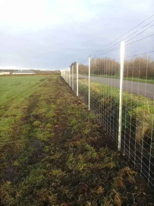 Clipex Deer fencing angled view