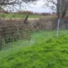 Horse Wire Fence