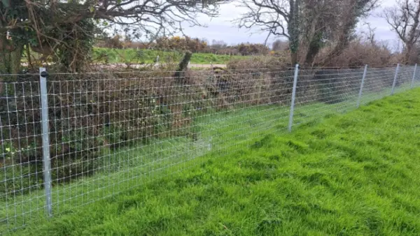 Horse Wire Fence