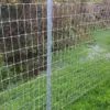 Horse Wire Fence post angled view