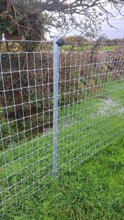 Horse Wire Fence post angled view