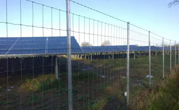 Solar farm fencing with Clipex posts.