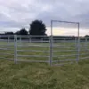 Horse lunging ring in field - adjustable gate closed - round ring