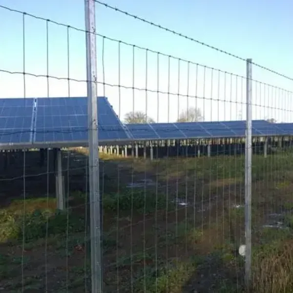 Solar farm fencing with Clipex posts.