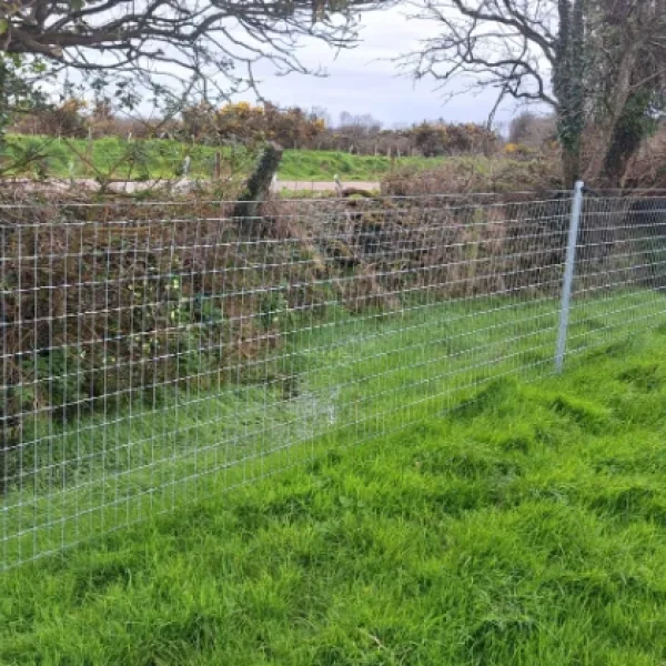 Clipex Horse fence posts in field with netting and top electric wire with insulators on posts - horse fencing