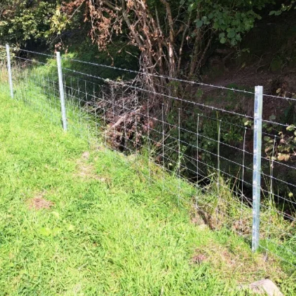 sheep fencing 1.8m 11 clip eco post - clipex galvanised steel post fence